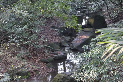 ★みさきのゑ【占いは幸せになるためのツール】HAPPYになるブログ-川