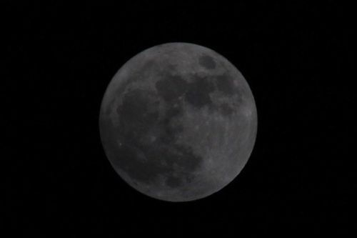 ★みさきのゑ【占いは幸せになるためのツール】HAPPYになるブログ-満月