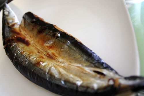 ★みさきのゑ【占いは幸せになるためのツール】HAPPYになるブログ-さんま