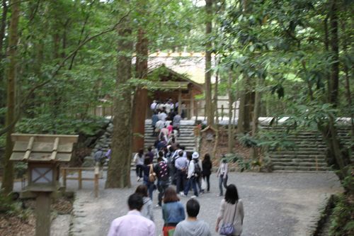 ★みさきのゑ【占いは幸せになるためのツール】自己分析のために占いを！-荒祭宮