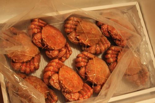 ★みさきのゑ【占いは幸せになるためのツール】HAPPYになるブログ