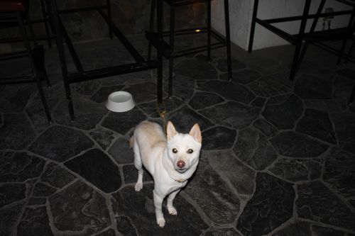 ★みさきのゑ【占いは幸せになるためのツール】HAPPYになるブログ-蔵丸