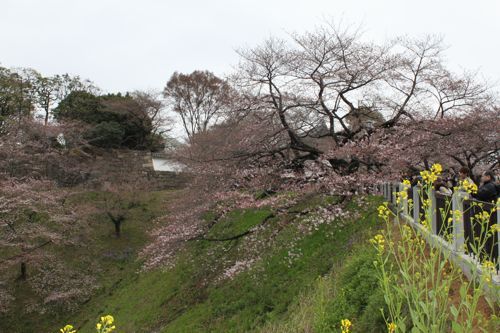 ★みさきのゑ【占いは幸せになるためのツール】HAPPYになるブログ