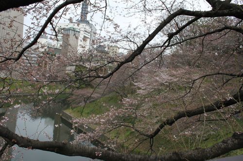 ★みさきのゑ【占いは幸せになるためのツール】HAPPYになるブログ