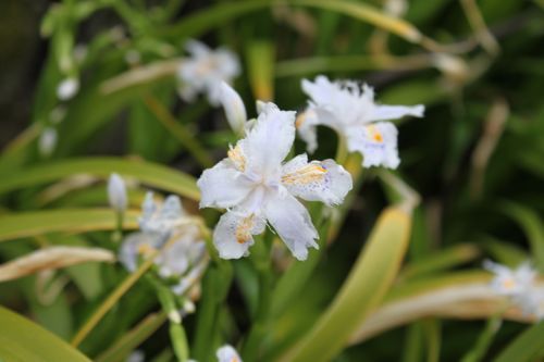 ★みさきのゑ【占いは幸せになるためのツール】HAPPYになるブログ