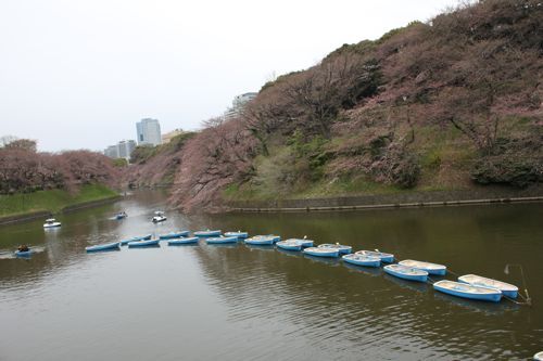 ★みさきのゑ【占いは幸せになるためのツール】HAPPYになるブログ