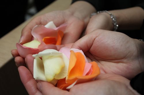 ★みさきのゑ【占いは幸せになるためのツール】HAPPYになるブログ-花びら