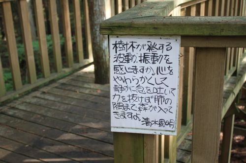 占いは幸せになるためのツール　みさきのゑHAPPYになるブログ-メッセージ