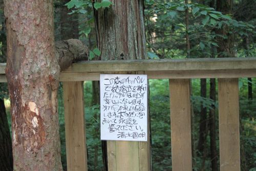 占いは幸せになるためのツール　みさきのゑHAPPYになるブログ-メッセージ