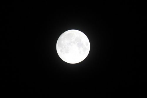 占いは幸せになるためのツール　みさきのゑHAPPYになるブログ-満月