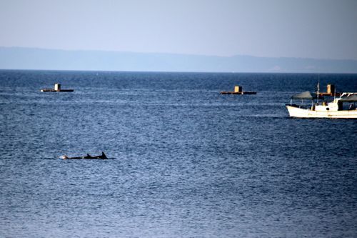 占いは幸せになるためのツール　みさきのゑHAPPYになるブログ