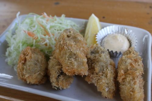 みさきのゑHAPPYになるブログ-フライ