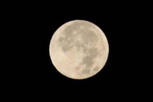 みさきのゑHAPPYになるブログ