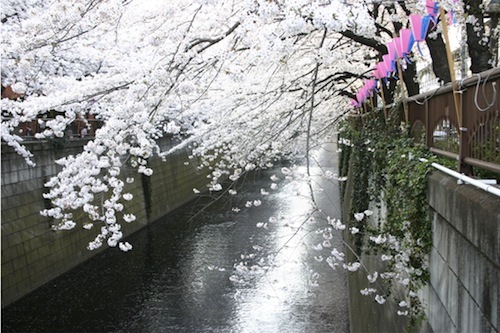 みさきのゑHAPPYになるブログ