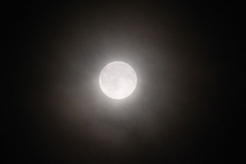 みさきのゑHAPPYになるブログ-月