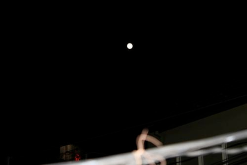 金活で金運アップ●満月お財布「フリフリーゼ」のブログ-満月