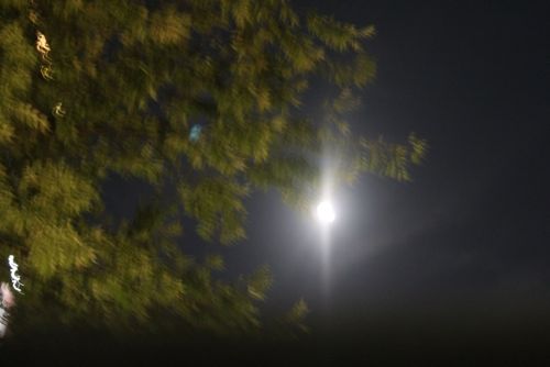 金活で金運アップ●満月お財布「フリフリーゼ」のブログ-満月