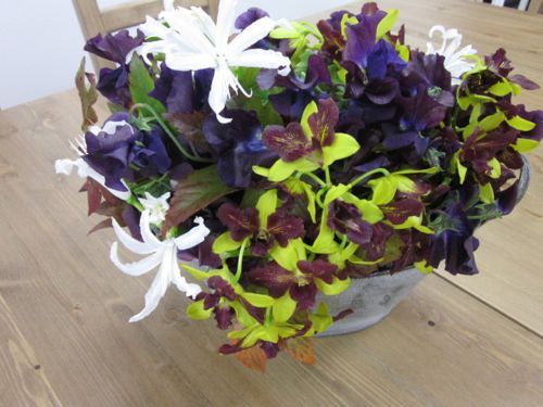 占いは幸せになるためのツール　みさきのゑHAPPYになるブログ-香苗ちゃん