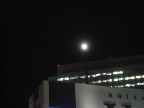 占いは幸せになるためのツール　みさきのゑHAPPYになるブログ-満月